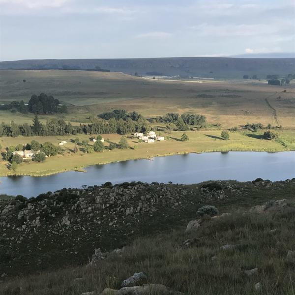 On The Dam * Dullstroom