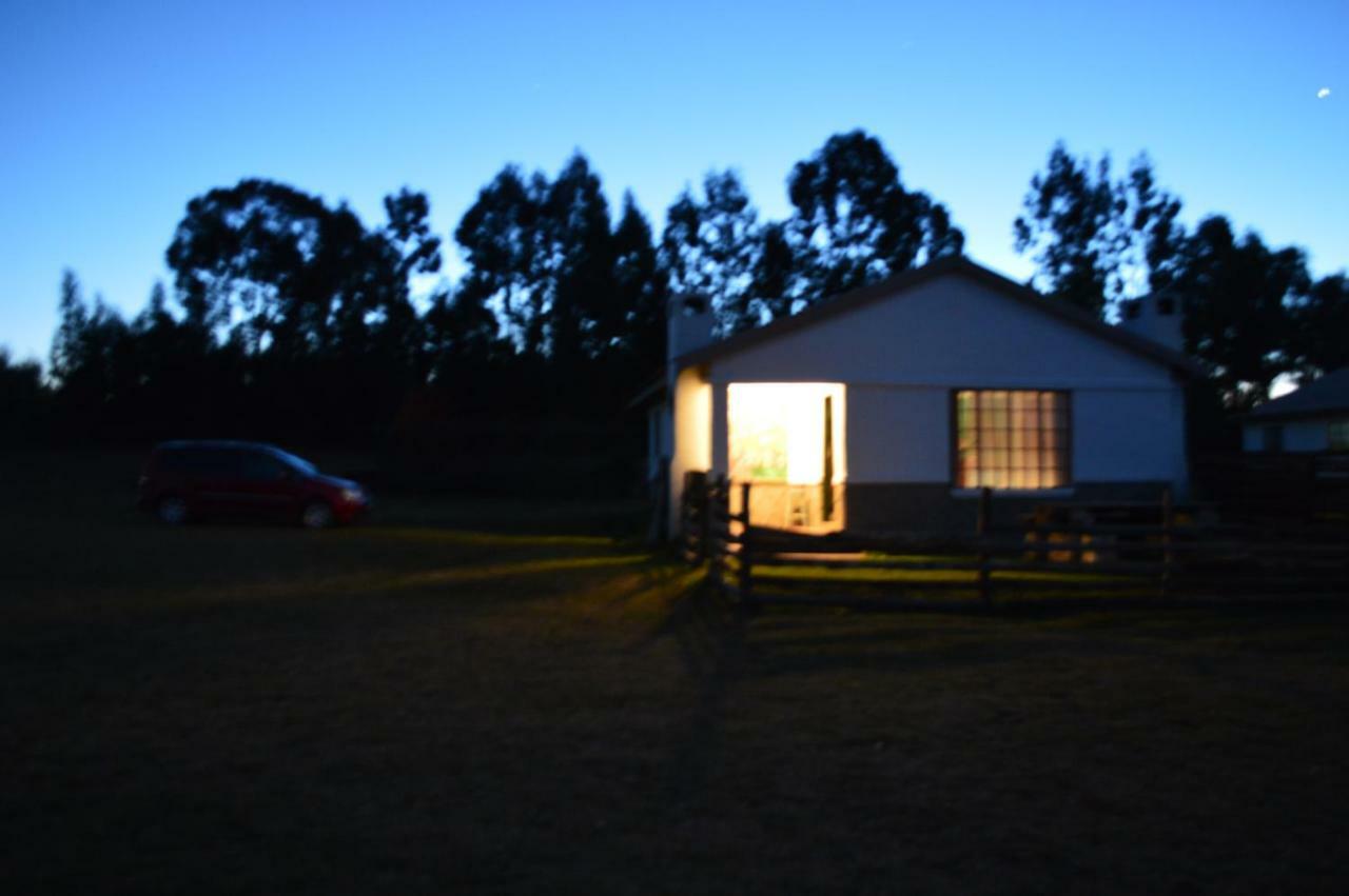 On The Dam * Dullstroom