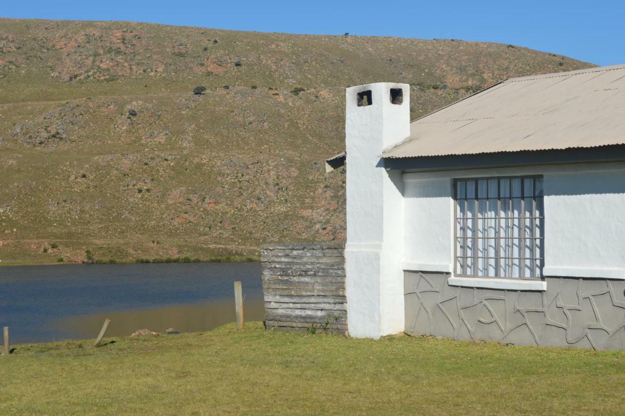 On The Dam